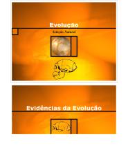 Evolucao.pdf
