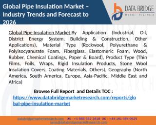 Global Pipe Insulation Market.pptx