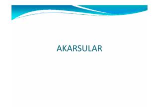 1-Akarsular.pdf